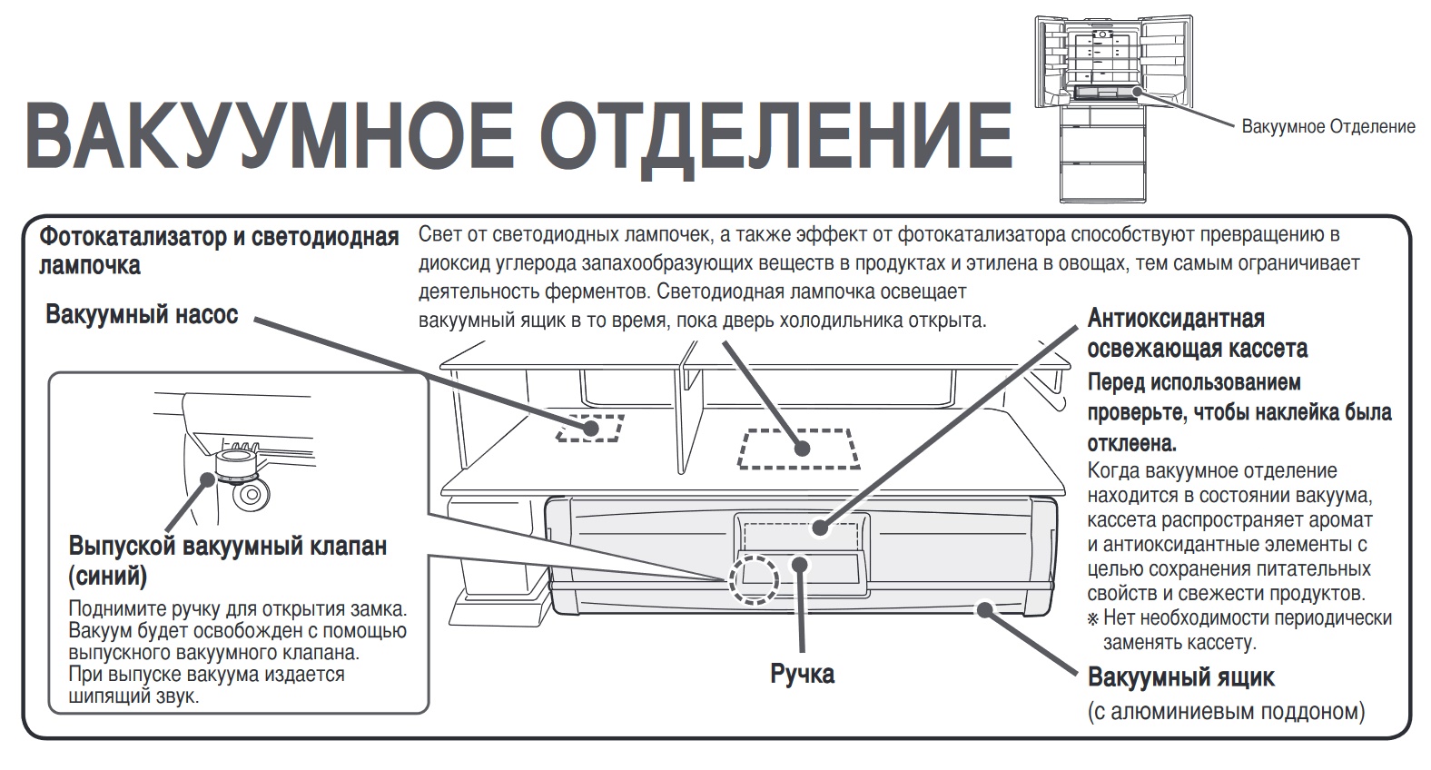 Полки холодильника