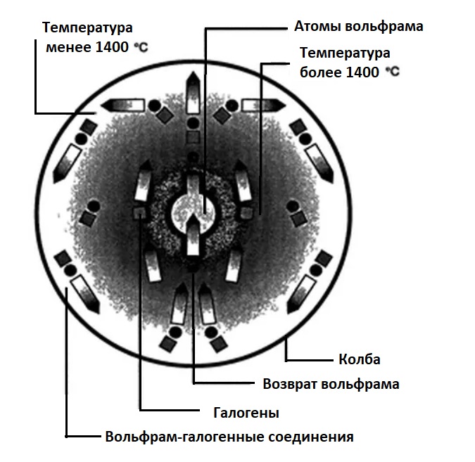 Схема галогено-вольфрамового цикла
