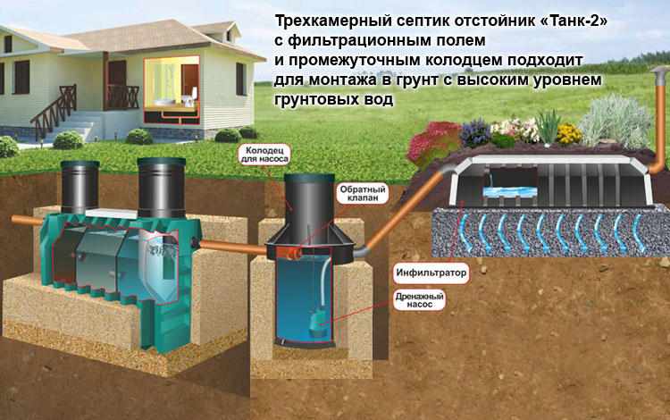 Схема установки септика на участке с высоким уровнем грунтовых вод