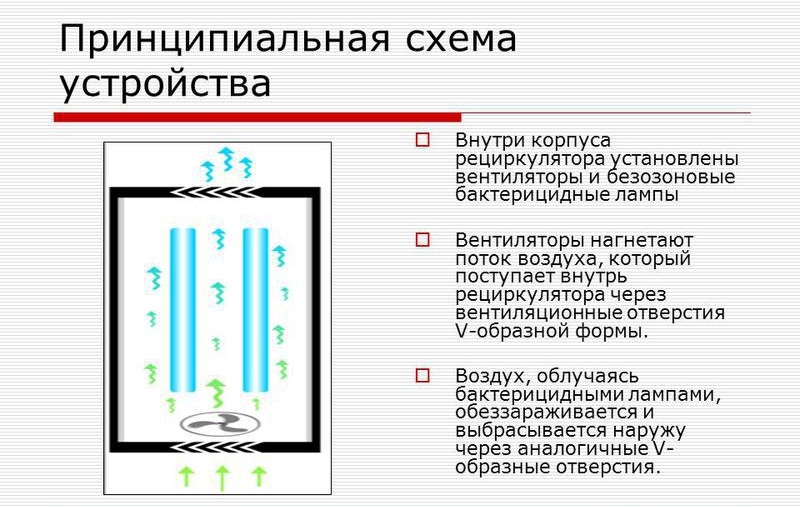 Ультрафиолетовая лампа