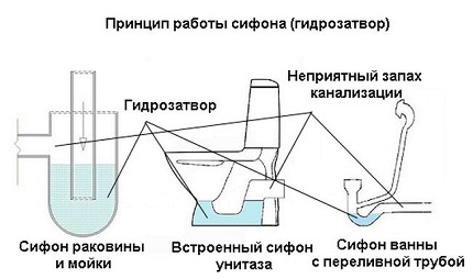 Водяной затвор