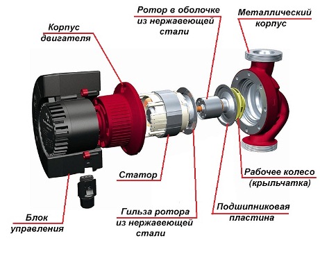 Строение циркуляционного насоса