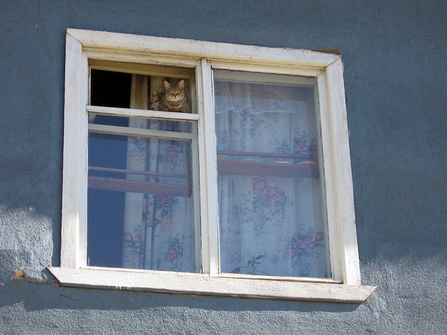 Деревянное окно в доме
