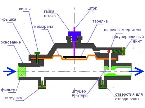 Лягушка в сборе