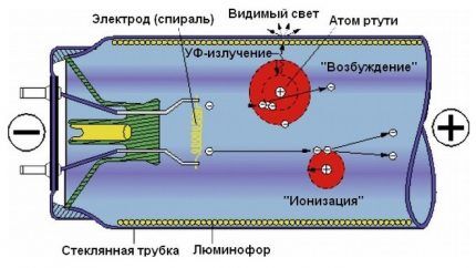 Устройство люминесцентной лампы