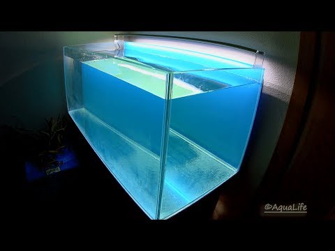 Как сделать красивый и прочный аквариум — схема сборки