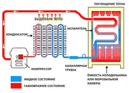 Принципиальная схема работы холодильника