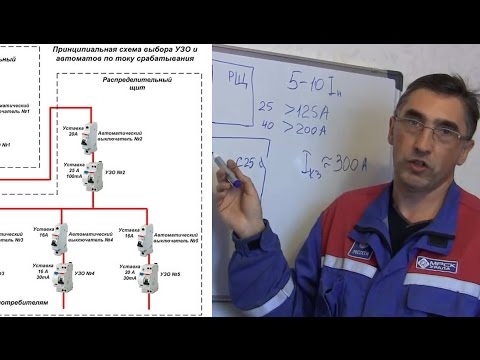 Что такое селективность автоматических выключателей + принципы расчета селективности