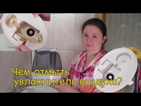 Какие бывают увлажнители воздуха: основные виды, их особенности + советы покупателям по выбору