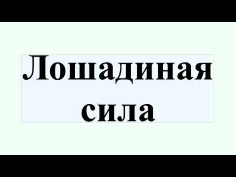 Перевод киловатт в лошадиные силы: сколько ЛС в одном кВт + принципы и способы вычислений