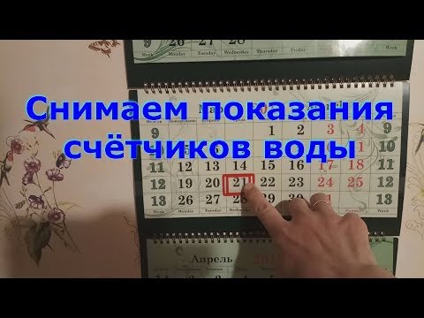 Показания счетчиков воды: алгоритм снятия показаний и их передачи в контролирующие органы