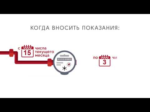 Показания счетчиков воды: алгоритм снятия показаний и их передачи в контролирующие органы