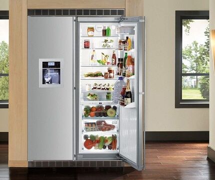 Модель холодильника с распашными дверями