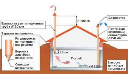 Вентиляционная система овощехранилища