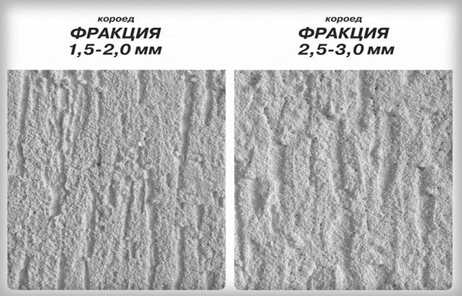 короед фракция